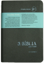 Bíblia (BPTc 54C Cinza)